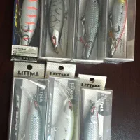 طعمه لیتلما