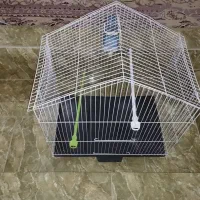 قفس بزرگ همراه با وسایل