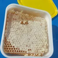 فروشنده خانم