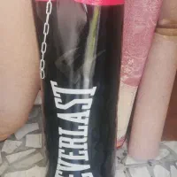 کیسه بوکس EVERLAST