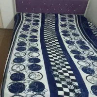 تخت دونفره|تخت و سرویس خواب|مشهد, دانشجو|دیوار