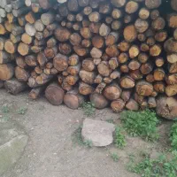 چوب جنگلی|عمده‌فروشی|شفت, |دیوار