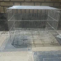 سلام قفس خوب قیمت 500000