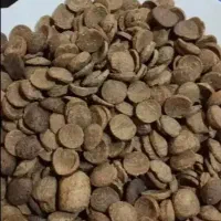 غذا خشک خوش خوراک گربه سگ اقتصادی به صرفه