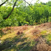 فروش زمین فوری زیر قیمت