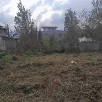 علف زنی (چمن)با دستگاه چند کاره و سم پاشی|خدمات باغبانی و درختکاری|لاهیجان, بازکیاگوراب|دیوار