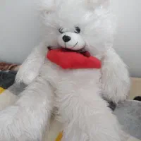 عروسک خرسی|اسباب‌‌بازی|اردبیل, |دیوار