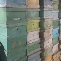 ۵۰ عدد طبق زنبورداری با قاب