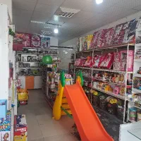 فروشنده در فروشگاه اسباب بازی و خانه بازی