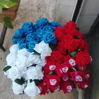 فروش گلها ودسته گل برای روز مادر با قیمت مناسب|گل و گیاه طبیعی|فاضل آباد, |دیوار