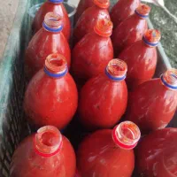 رب گوجه مرغوب و خوش رنگ