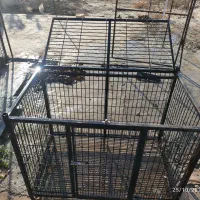 قفس سگ|لوازم جانبی حیوانات|محمدشهر, شهرک چمران|دیوار