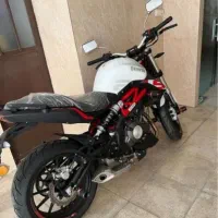 بنلی 300 جفت مزاییده نیوفیس