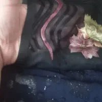 پارچه|لباس|اهواز, معین زاده|دیوار