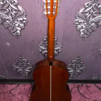 گیتار مدل Bestfun E150|گیتار، بیس، امپلیفایر|شیراز, شهرک فرهنگیان|دیوار