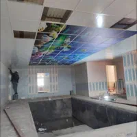 اجرای انواع سقف کاذب کناف، تایل۶۰×۶۰ و پی وی سی|خدمات پیشه و مهارت|اندیمشک, |دیوار