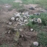 دونفر کارگریم حمل مصالح و تمیزکاری خانه نوساز