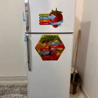 یخچال ۱۶ فوت سینور