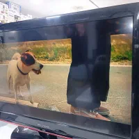 ال سی دی ۴۲ اینچ دوو دیجیتال سر خود|تلویزیون و پروژکتور|کوهدشت, |دیوار