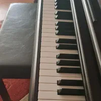 پیانو یاماها Arius YDP 144|پیانو، کیبورد، آکاردئون|بوشهر, |دیوار