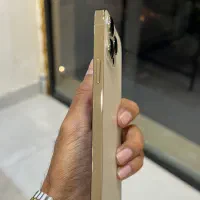 iphone 13 pro max|موبایل|کاشمر, |دیوار