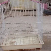 قفس پرنده سالم وخوب