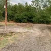 فروش ویلای ۳۵۰متری پاه کوه بازیربنای ۶۰متری|فروش خانه و ویلا|شاندرمن, |دیوار