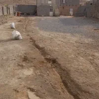 دامداری