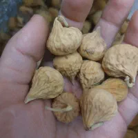 انجیر عسلی خشک