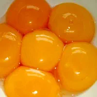 فروش زرده تخم مرغ