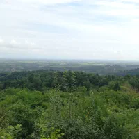 ۲۳۸ متر زمین باغی/مرکز شهر کوچصفهان