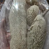 عسل طبیعی کُنار|خوردنی و آشامیدنی|شیراز, حومه شیراز|دیوار