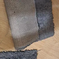 پادری خزدار در حد نو|پادری|رشت, حاجی آباد|دیوار