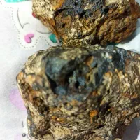 فروش شهاب سنگ و سنگ طلا