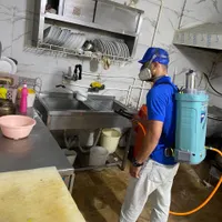 سمپاشی سوسک سم پاشی ساس موش کنه ( با ضمانت کتبی )|خدمات نظافت|کرج, مارلیک|دیوار
