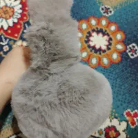 گوشگیر نو|کیف، کفش، کمربند|قم, شهر قائم|دیوار