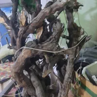تنه درخت مصنوعی|گل مصنوعی|قم, نیروگاه|دیوار