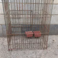 قفس پرنده و حیوانات