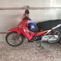 ویورادیسون