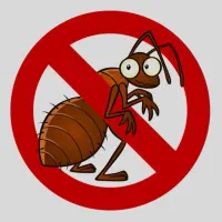 سمپاش و ضد عفونی منزل حیاط تک درخت و...