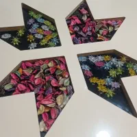 نیم ست ۵ نفره  و میز وسط|مبلمان خانگی و میز عسلی|رشت, کاکتوس|دیوار