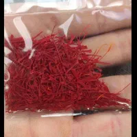 فروش گل زعفران زاوه|عمده‌فروشی|زاوه, |دیوار