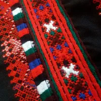 زی استین