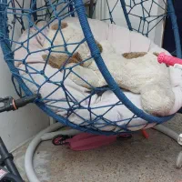 تاپ ریلکسی|صندلی و نیمکت|تهران, خواجه نظام الملک|دیوار