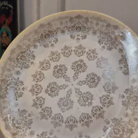 ارکوپال دینو