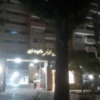 167-کوه-نور-باغ-زیار