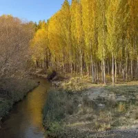 ویلا باغ مخصوص طبیعت دوستان لب رودخانه