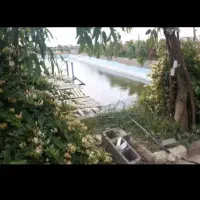 زمین و باغ  از جنس طلا