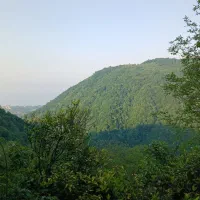 زمینی-به-مساحت-800-متر-سرولات