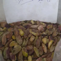 انواع مغز پسته دامغان